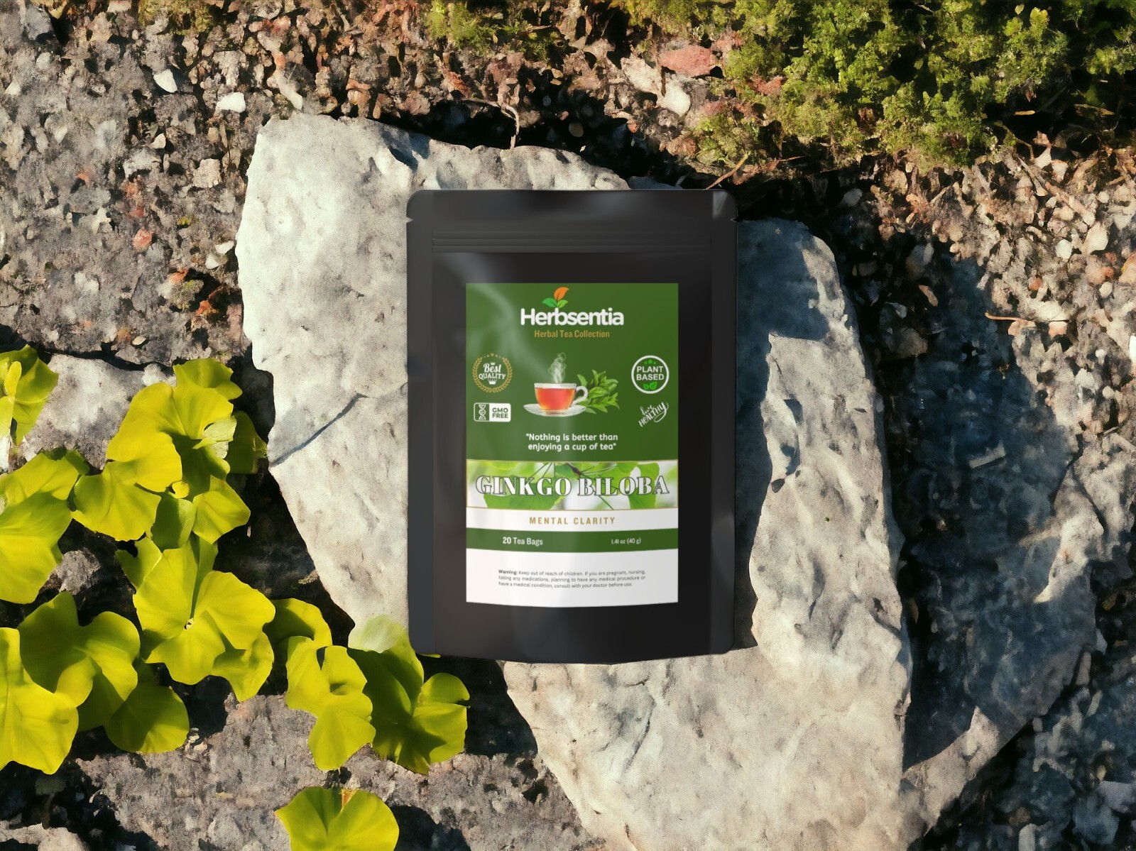 Gingko Biloba Tea – Memory and Focus