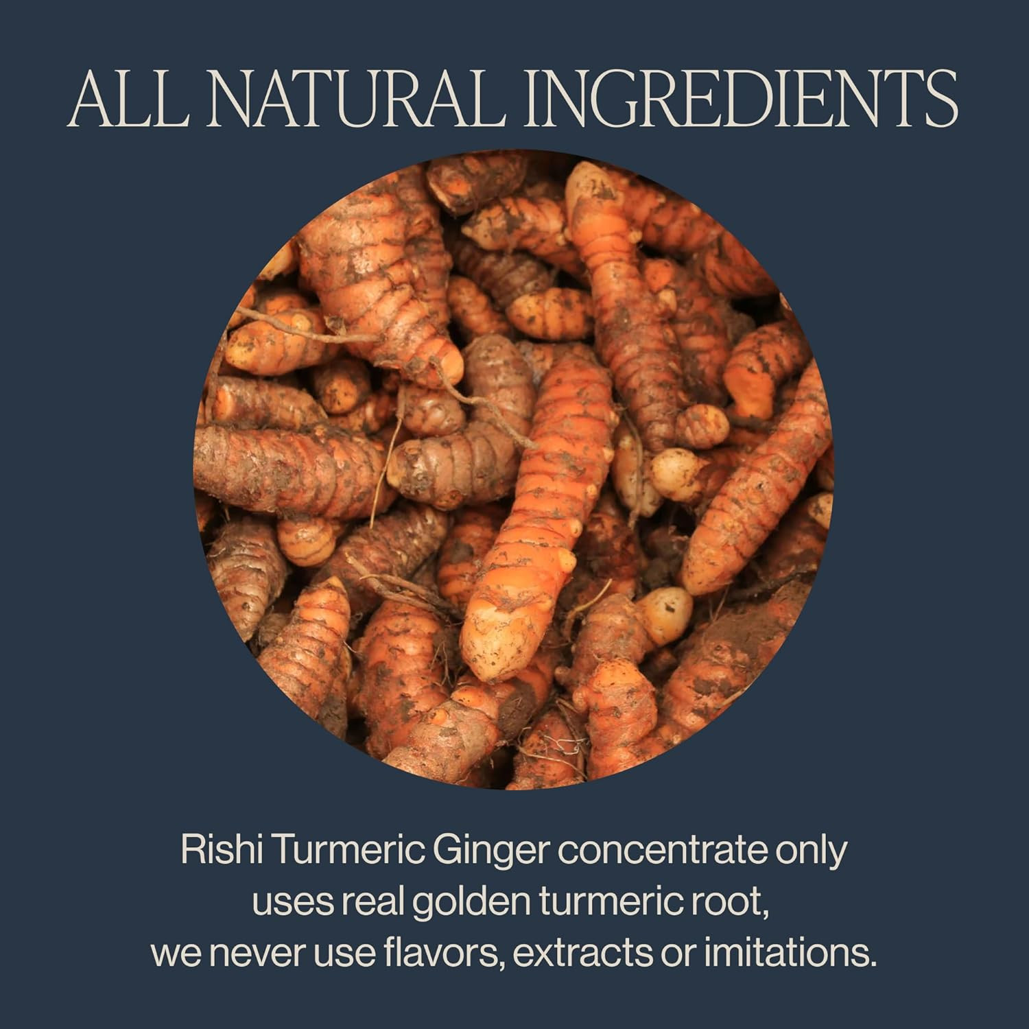 Organic Masala Chai & Turmeric Ginger Latte Bundle – 32 Fl Oz, 24 Pack
