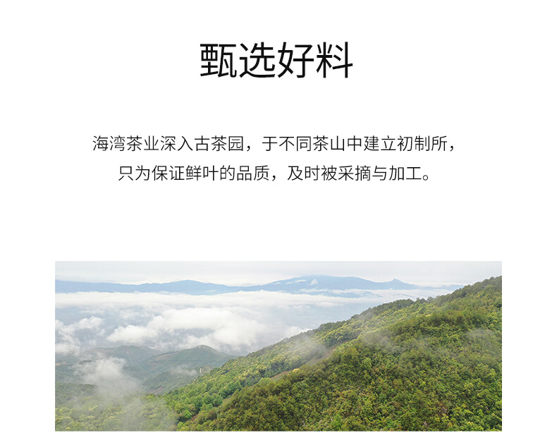 2021 Haiwan 9978 (batch 211) Lao Tong Zhi Old Comrade Ripe Puer Tea Cake 357g