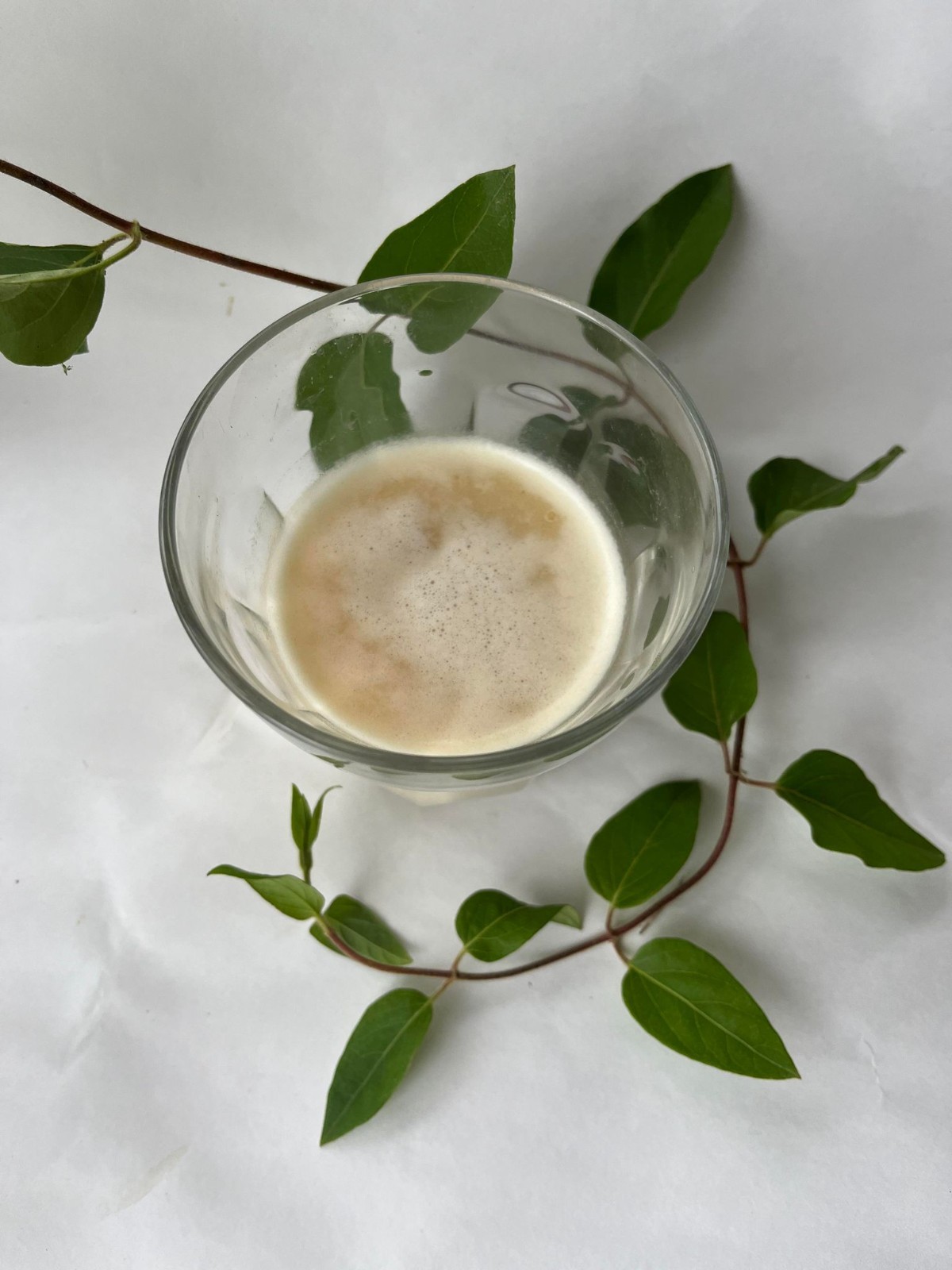 Japanese pharmacist’s choice | various instant latte| made in Japan | 9 flavor