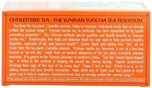 Cholesterol Support Herbal Tea – 20 Tea Bags, Pack of 6, Heart Health Boost