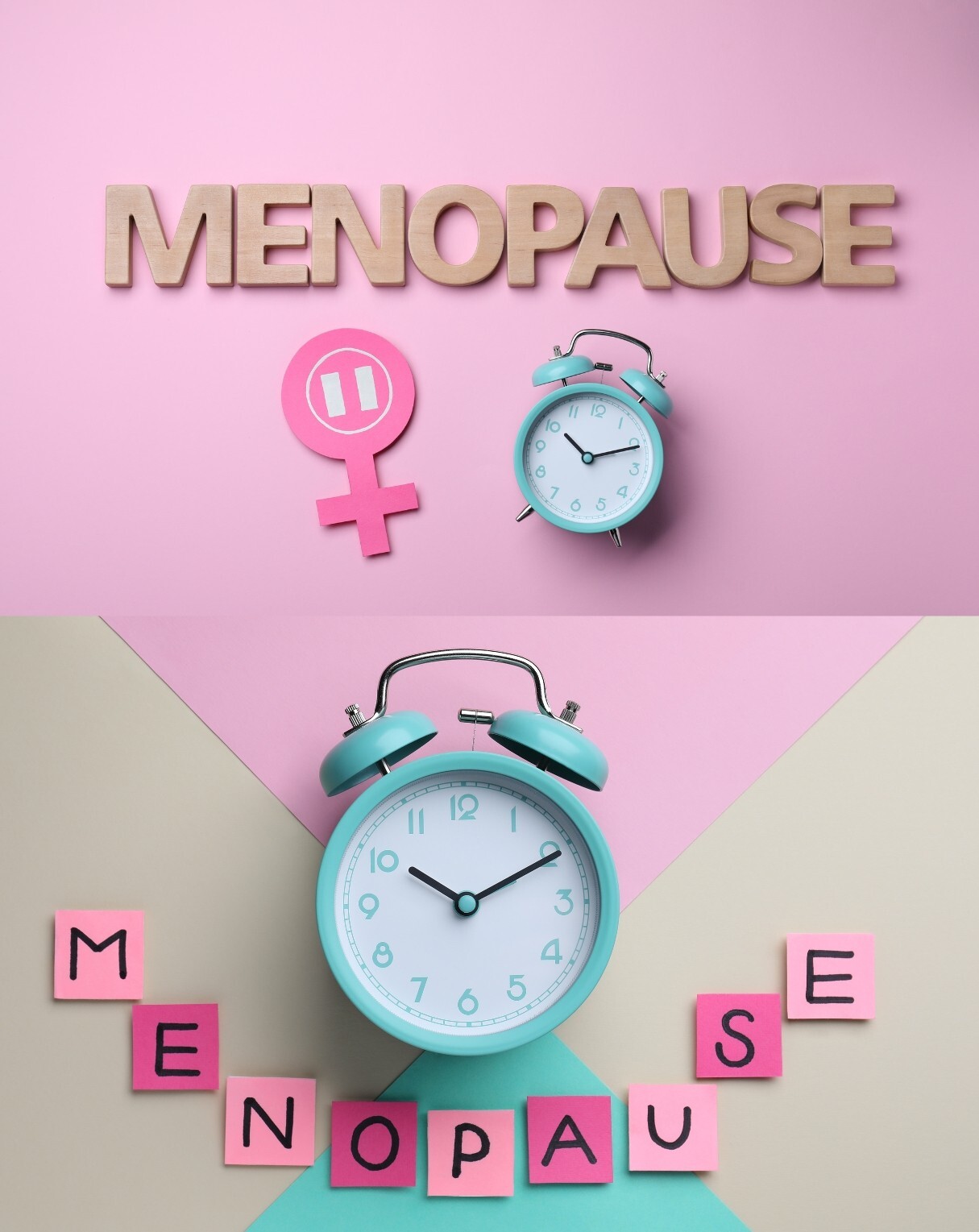 Energize Refresh – MENOPAUSE HERBAL NATURAL TEA – Ginkgo Biloba, Eleuthero Root