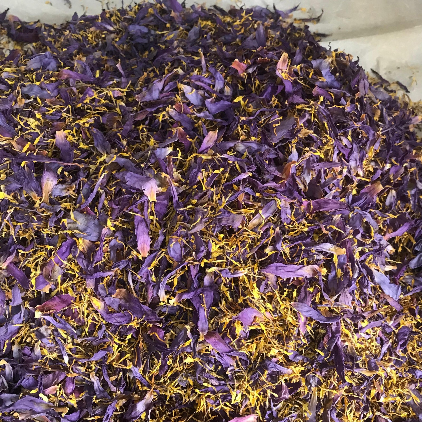 Dried Blue Lotus 50g |Petal & Stamen| Hand Pick Flowers Organic High Quality Tea