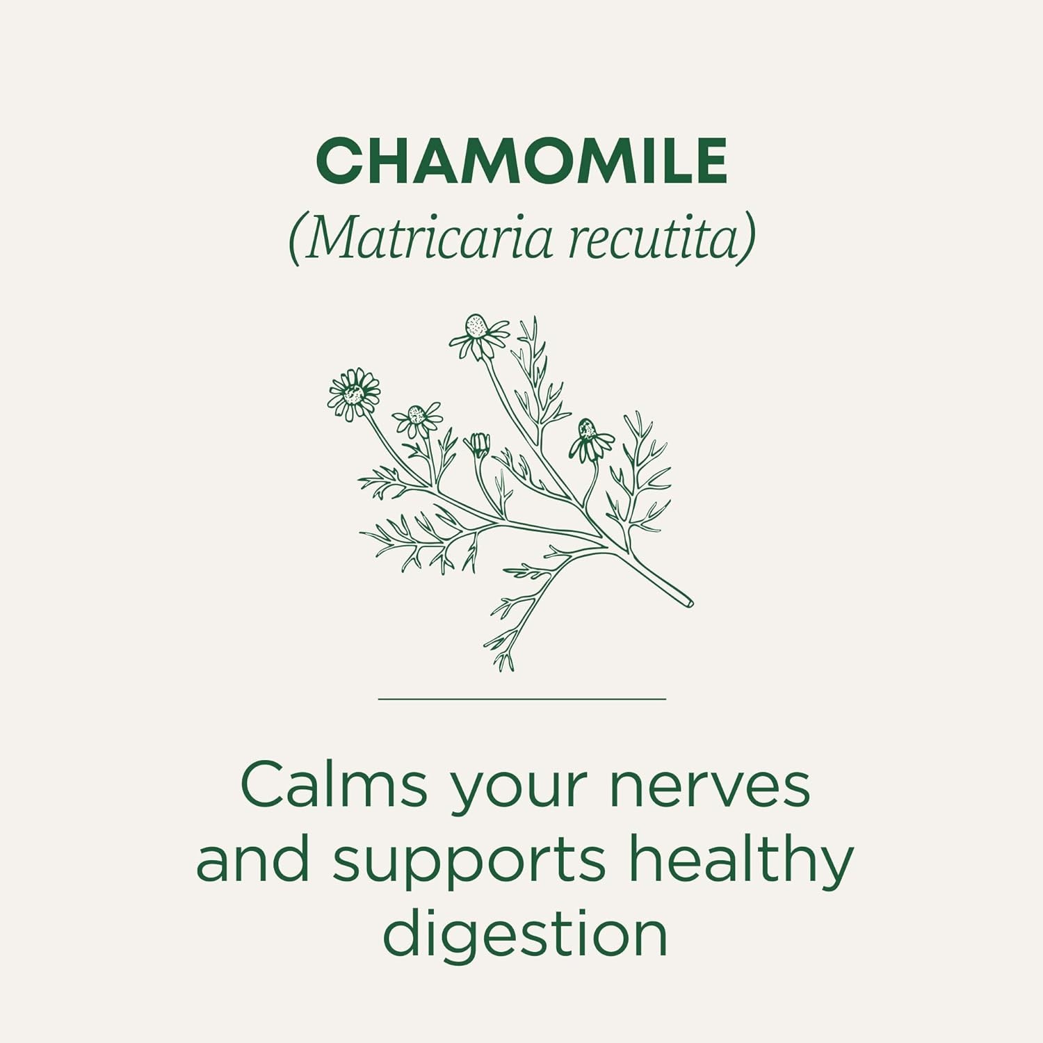 Caffeine Free Chamomile Tea Organic 16 Bags