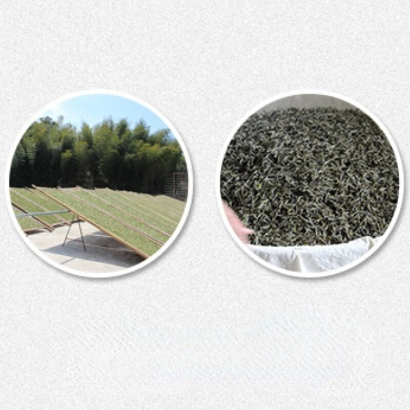 White Peony Tea 500g Premium Fuding White Tea Aged 2012 Jujube Aroma Tea