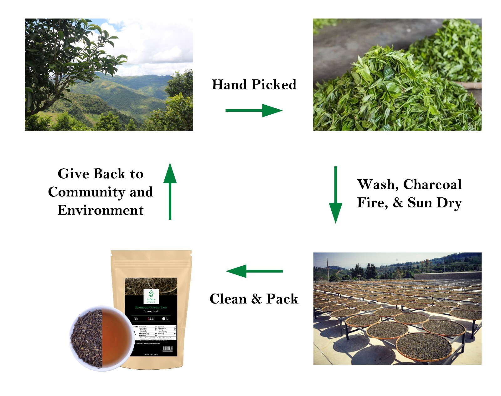 Green Tea from 400 Years Old Trees – Komaen Tea from Laos – Hand Picked