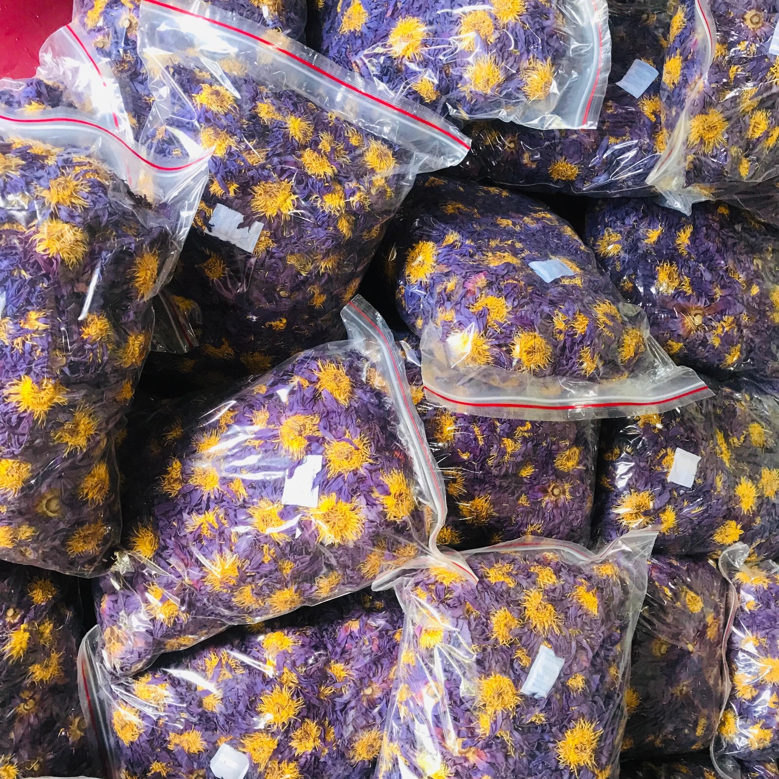 Dried Blue Lotus 100% Hand Picked Ceylon Organic Natural Flowers Egyptian Tea