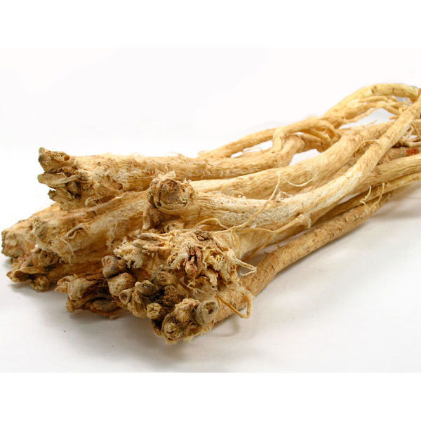 Huang Qi – Astragalus Root Slice, 黃芪 황기 Astragalus membranaceus Root