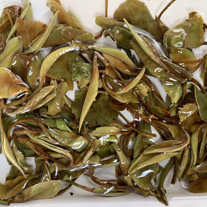 White Peony Tea 500g Premium Fuding White Tea Aged 2012 Jujube Aroma Tea