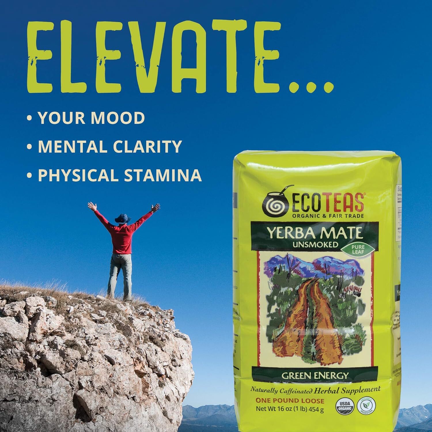 Eco Teas Organic Yerba Mate Green Energy Loose Leaf Tea 1 Lb