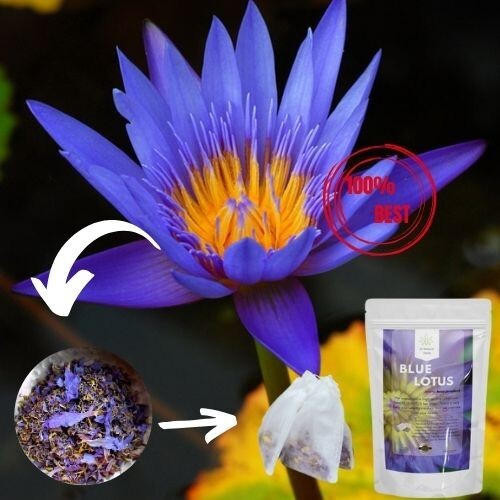 Dried Organic Blue Lotus Flower Petals Herbal drink Tea Bag Nymphaea Caerulea