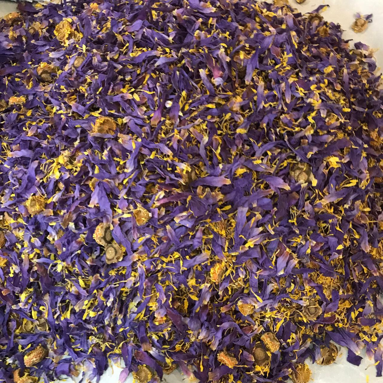 Cut Blue Lotus Dried Flower Nymphaea Caerulea Hand Picked Pure Ceylon Herbal Tea