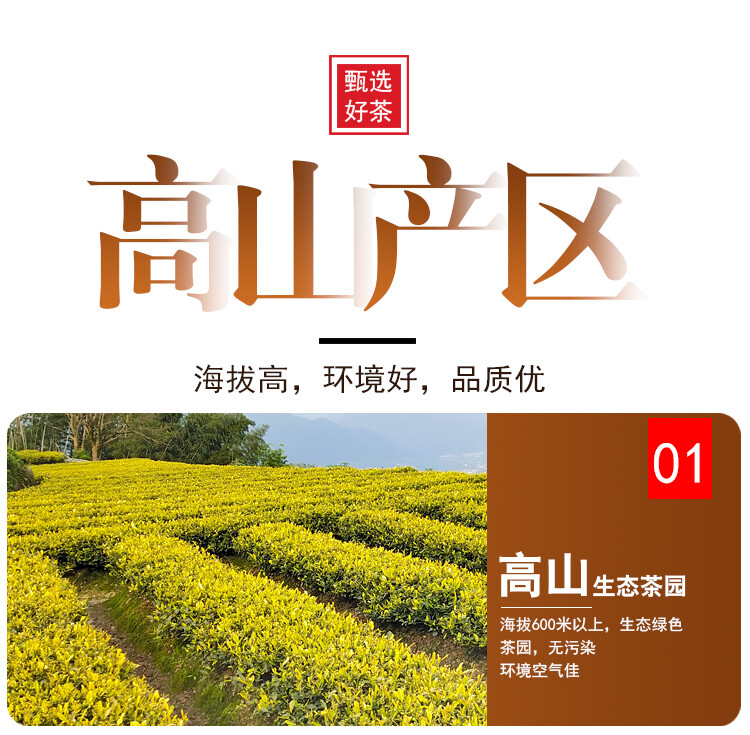 HuangJin Ya Yellow Golden Bud Yu Qian Premium Grade An Ji Bai Pian Green Tea
