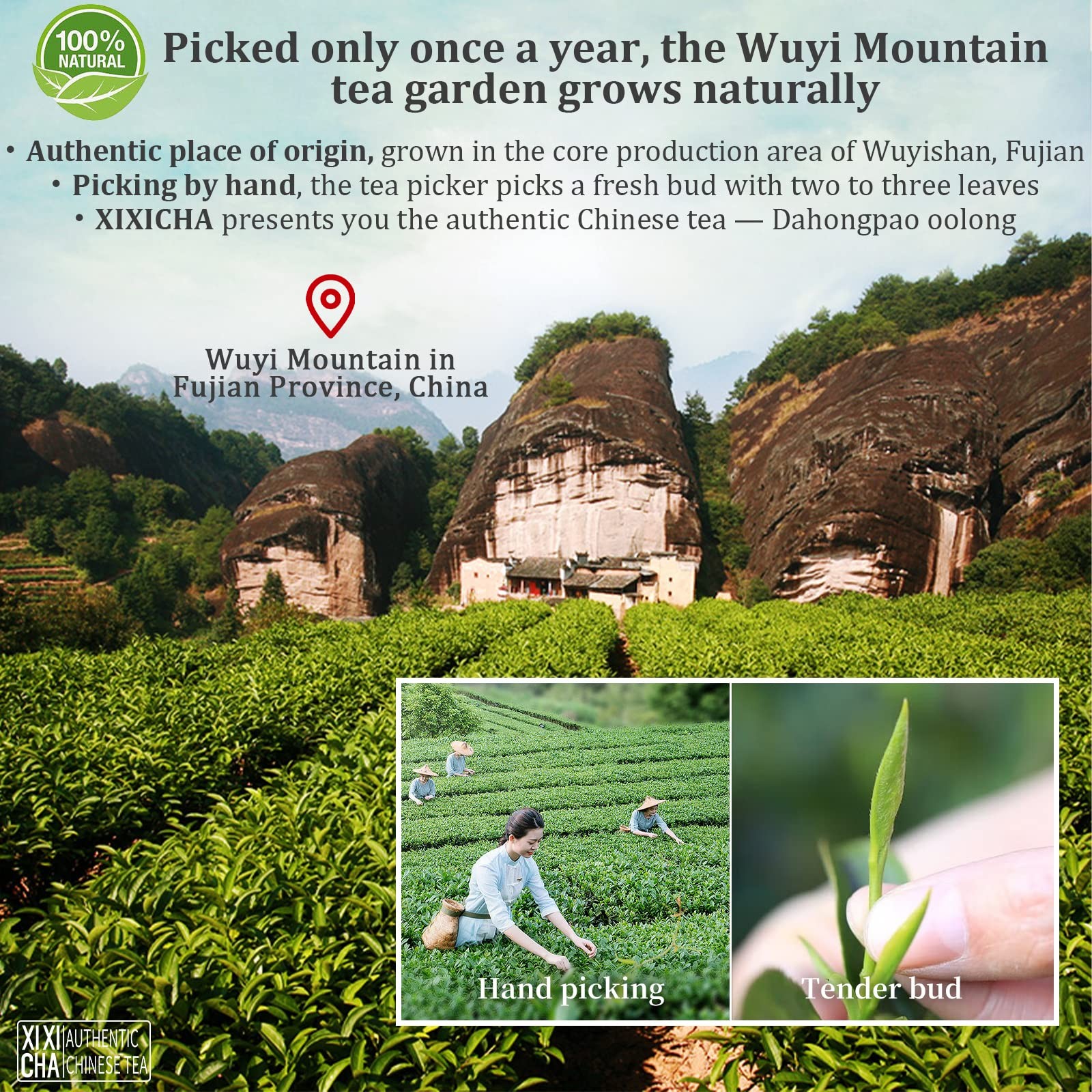XIXICHA Dahongpao Oolong Tea 4.23oz 120g China Wuyi Mountain Big Red Robe Ool…
