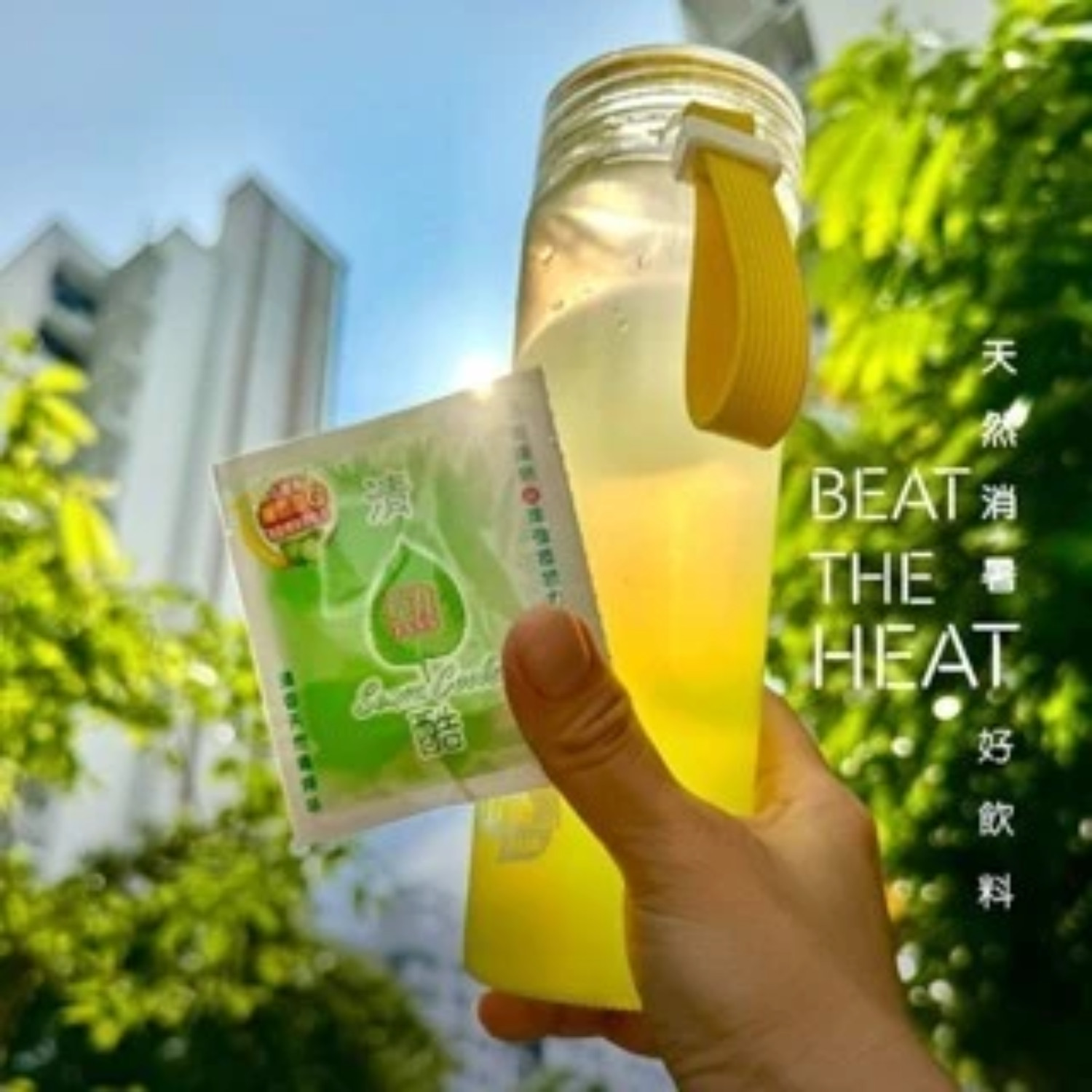SENSA COOLS HK Herbal Cool Drink Sachet (10pcs x 6g)