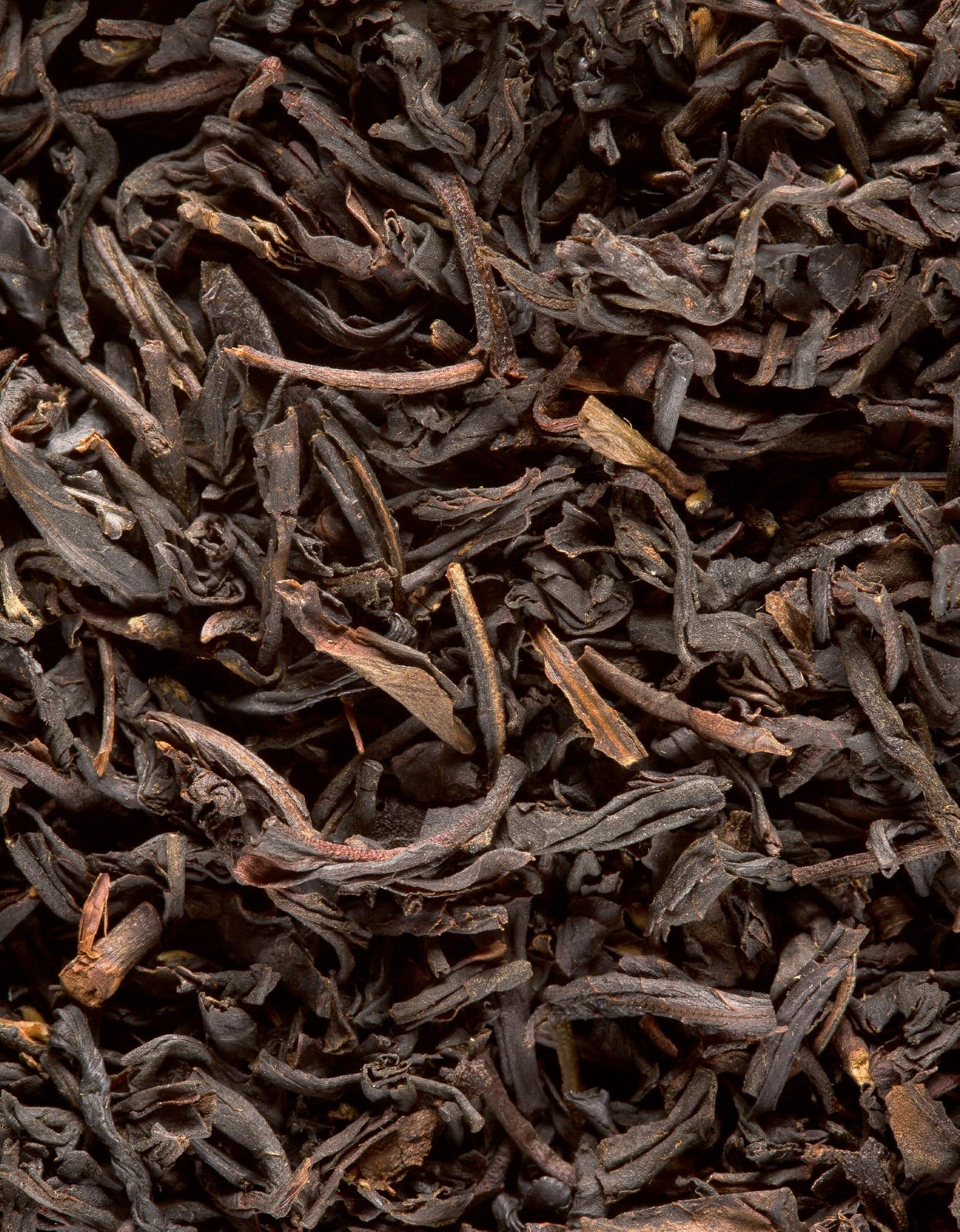 Dammann Freres Satchets, Darjeeling Tea Bags, Premium French Gourmet Black Te…
