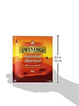 100 Count Full Flavor Tea Bags Strong Brew for Refreshing Taste