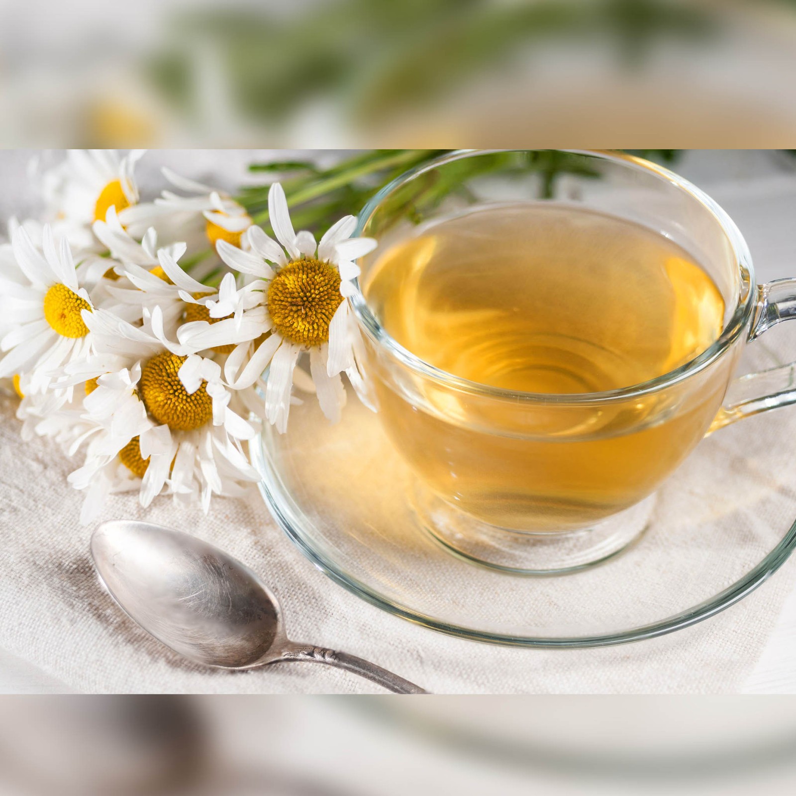 Chamomile Tea Bags 100 Count Bulk Pack Herbal Tea Naturally Caffeine Free