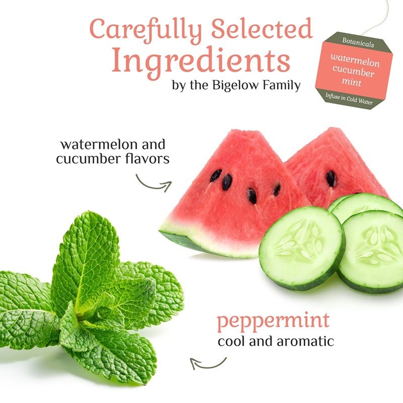 Bigelow Tea Botanicals Cold Water Infuse 2 WATERMELON CUCUMBER MINT 18 Bags 2027