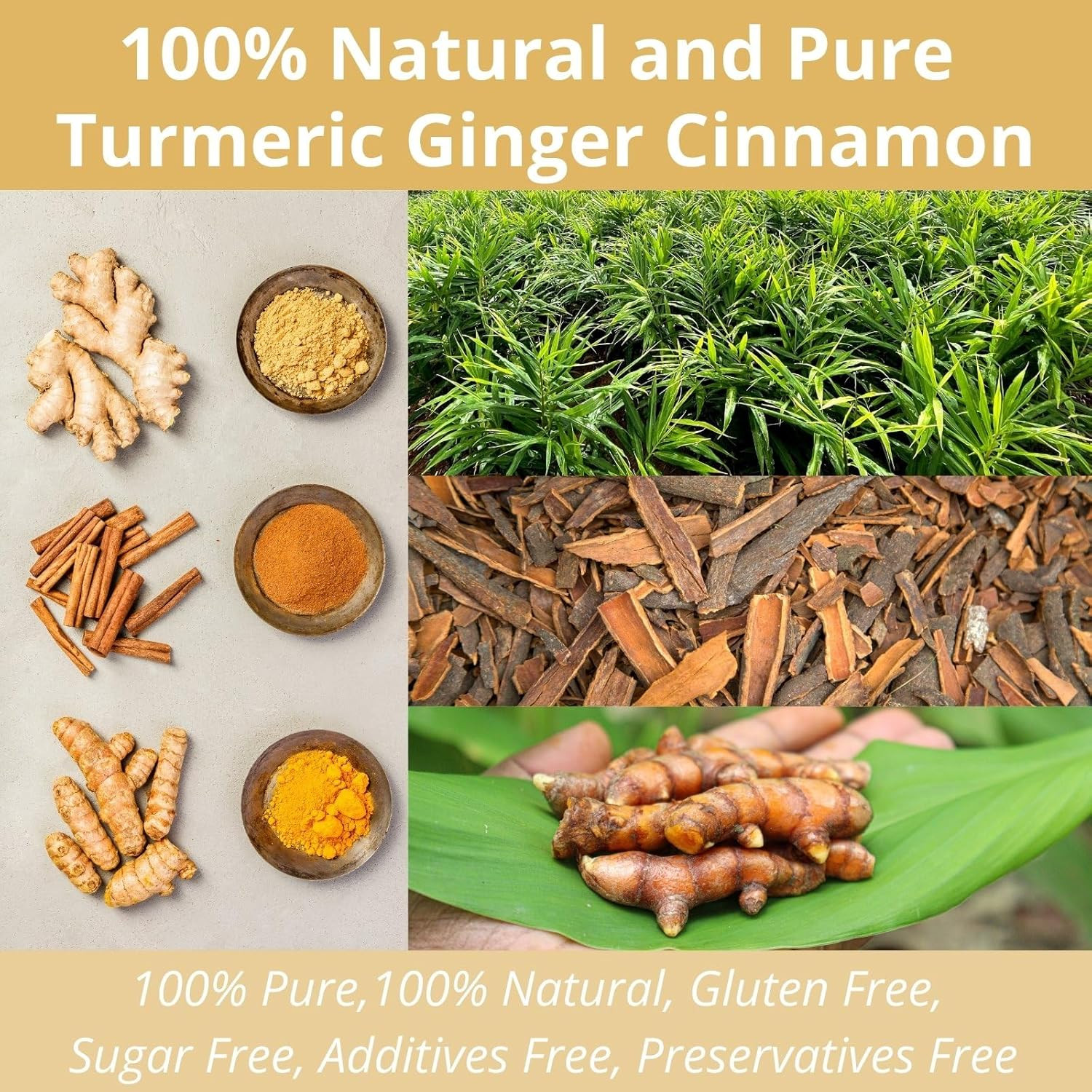50 Premium Turmeric Ginger Cinnamon Tea Bags| Natural Ginger Tea Bags| Pure Tur