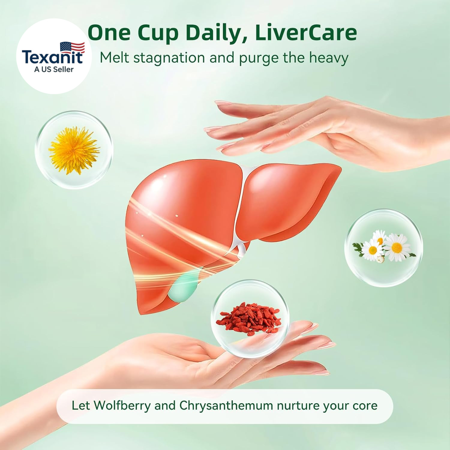 Dandelion Wolfberry Tea – Liver & Kidney Detox Herbal Tea, Summer Cleanse with C