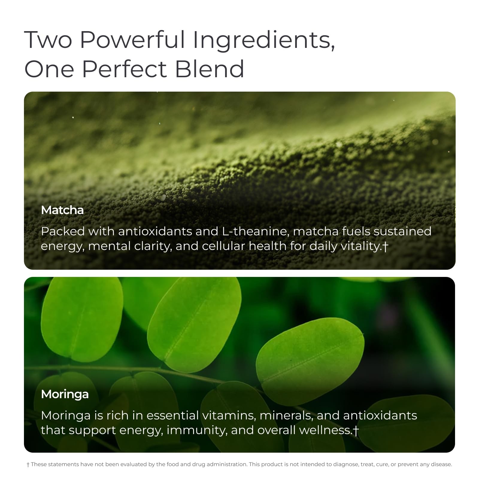 Livingood Daily Matcha + Moringa Powder, 30 Servings 2in1 Matcha Powder and …