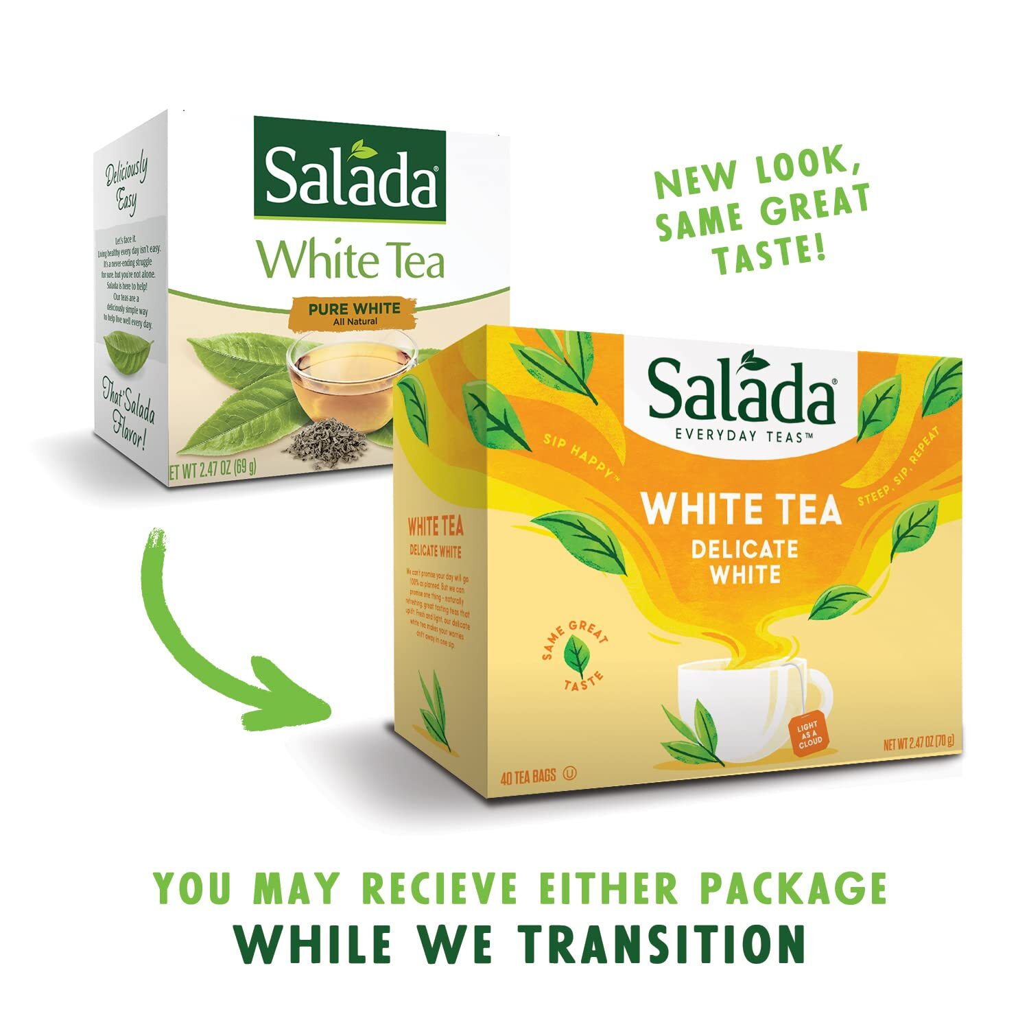Salada Pure White Tea, 40-Count Packages (Pack of 6)