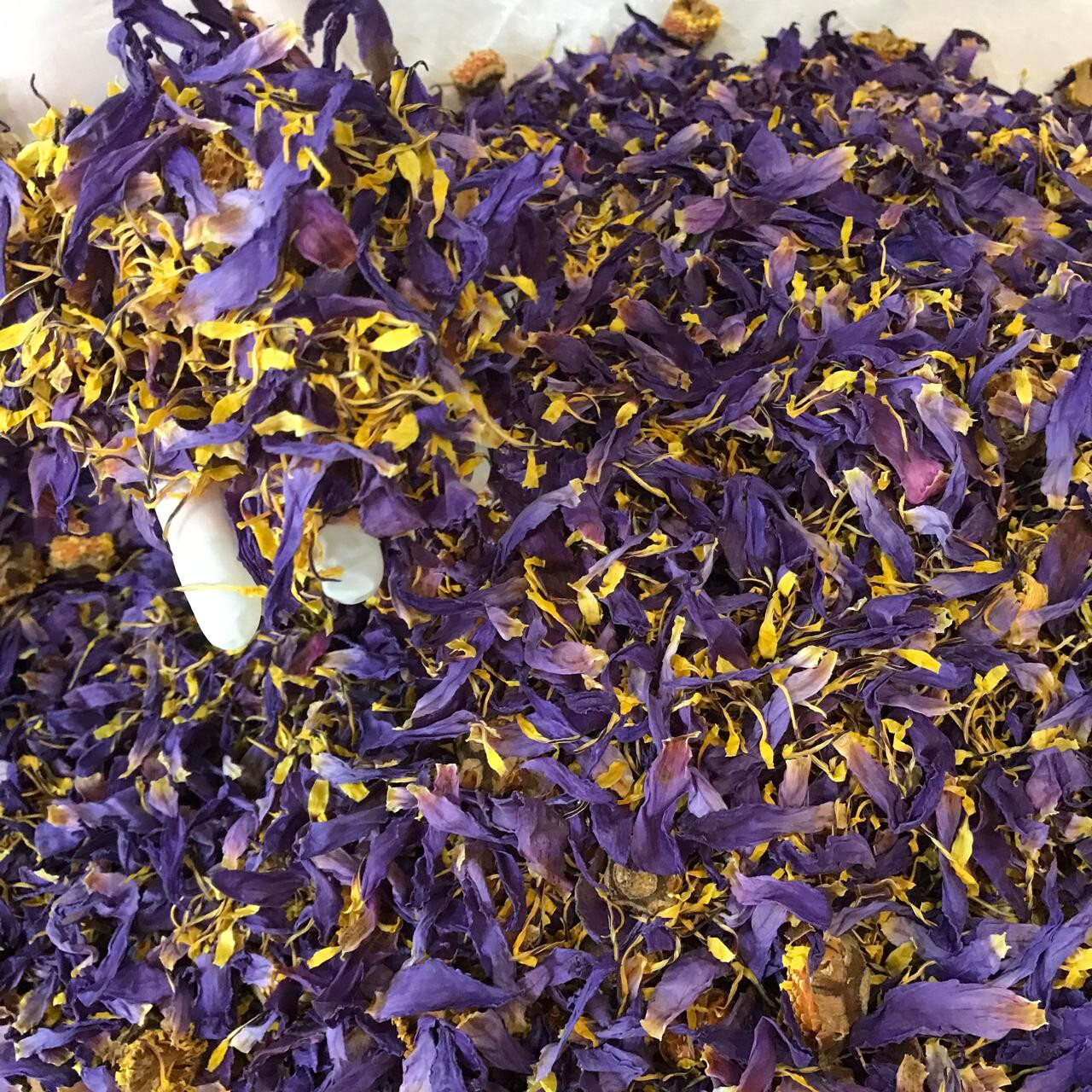 Ceylon |Cut Blue Lotus| Nymphaea Caerulea Sacred Organic Dried Flowers Tea
