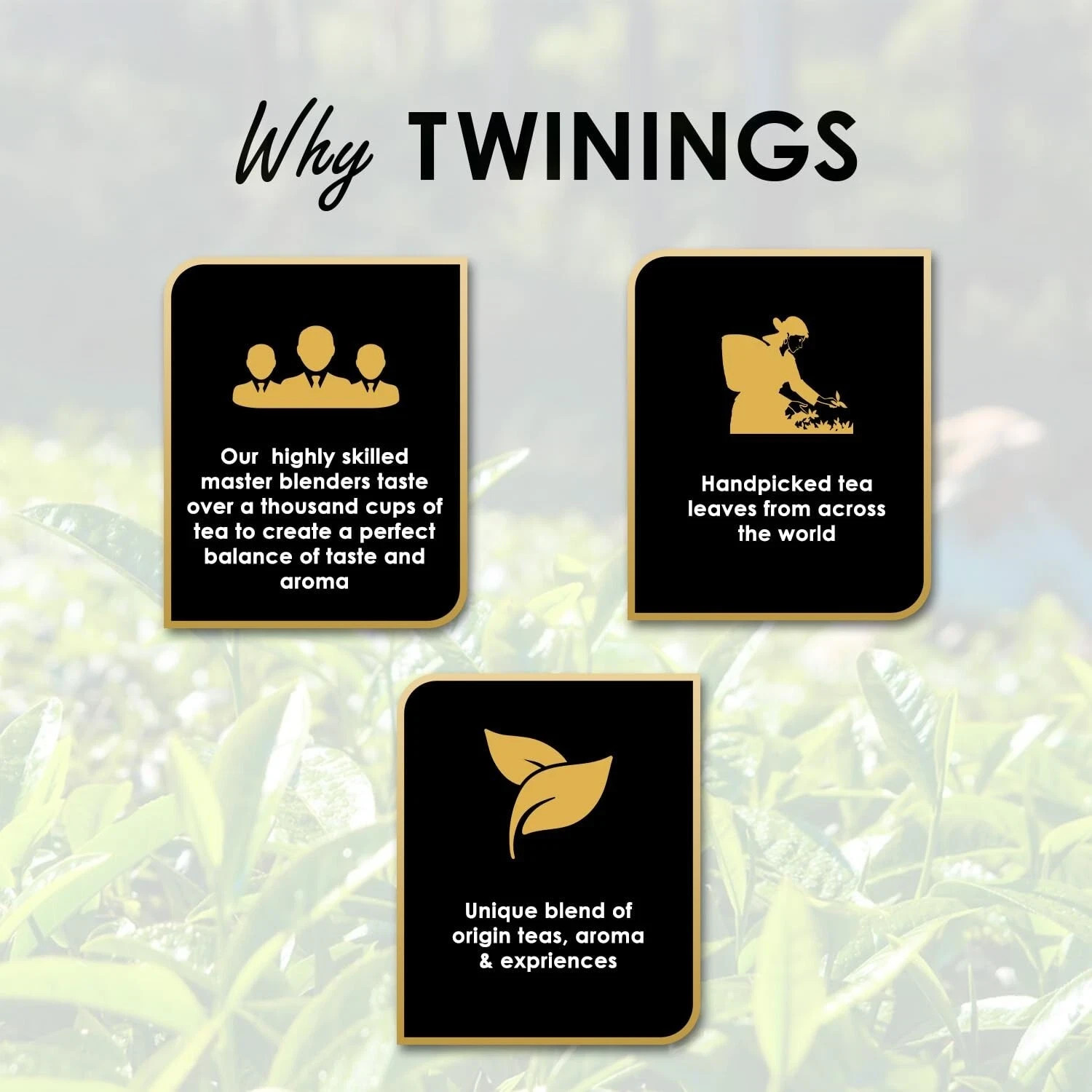 Twinings Earl Grey Tea 25 Teabags Premium English Classic Black Chai Flavor 50g