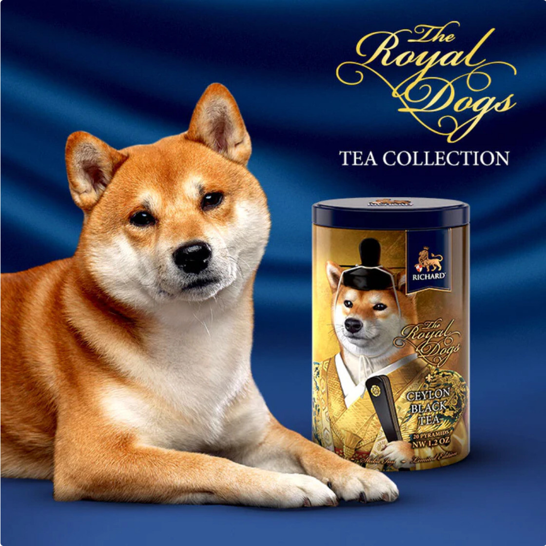 SHIBA INU 🐕RICHARD Royal Dogs Ceylon Black Tea 20 Pyramids GIFT TIN