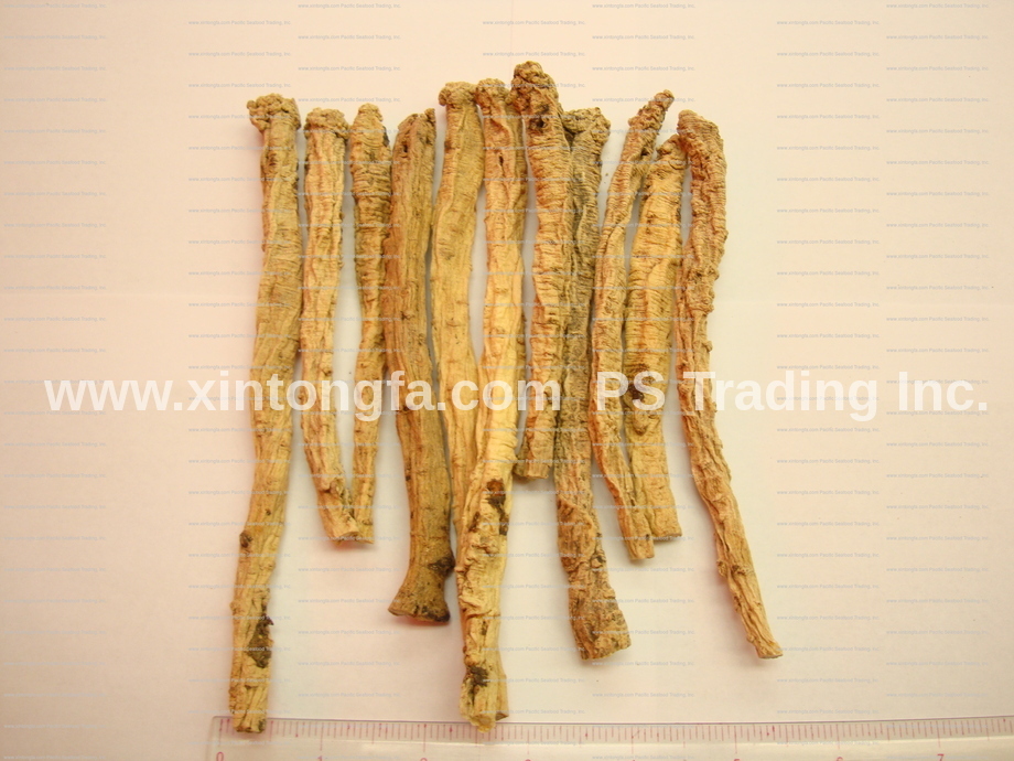 8oz 1LB 一等級紡黨參（中）Codonopsis Root, Bastard Ginseng, Dang Shen (M)- Free Shipping!