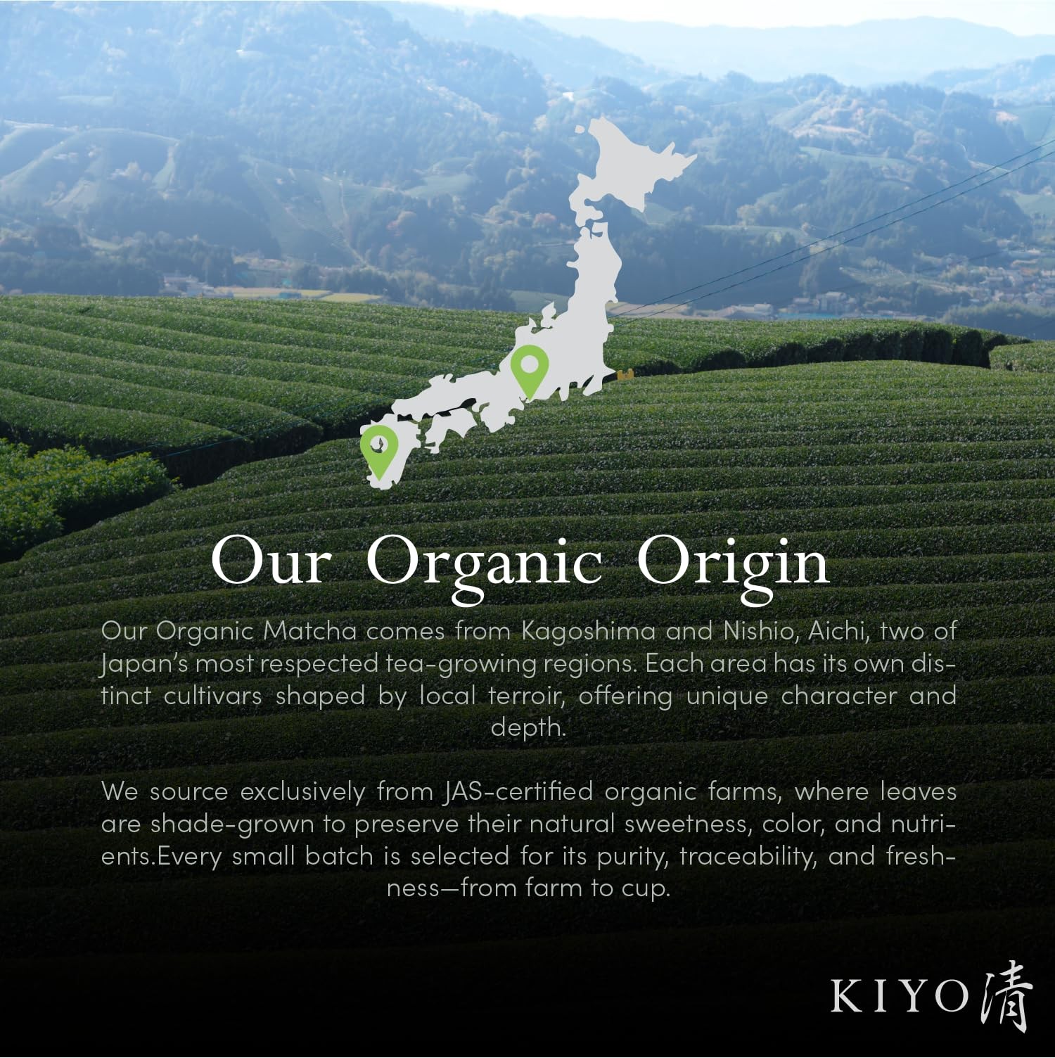 Kiyo Matcha Organic Classic Grade Chiba No Shiro Matcha – Pure Japanese First…