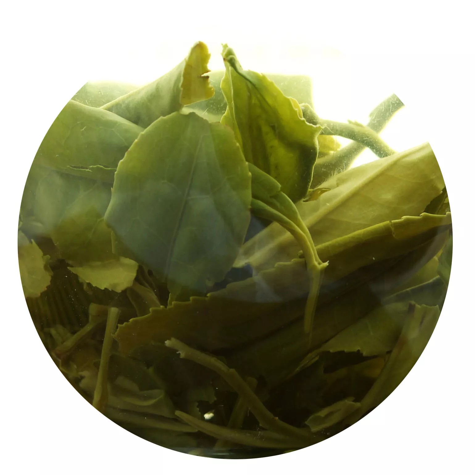 Premium Suzhou Biluochun Green Tea Spring Chinese Pi lo Chun Loose Leaf 500g