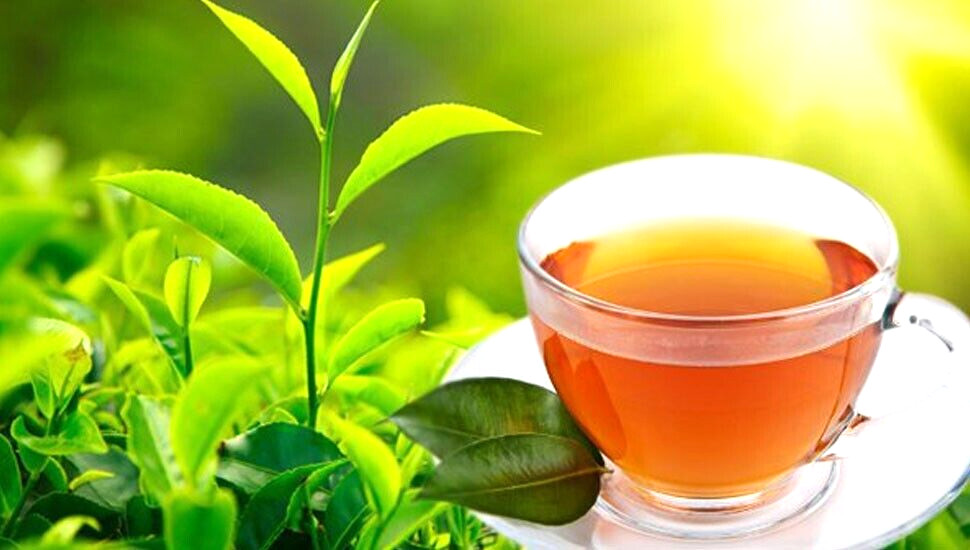 Ceylon tea Zesta Red. Unique blend upcountry aromatic golden red tea 390g.