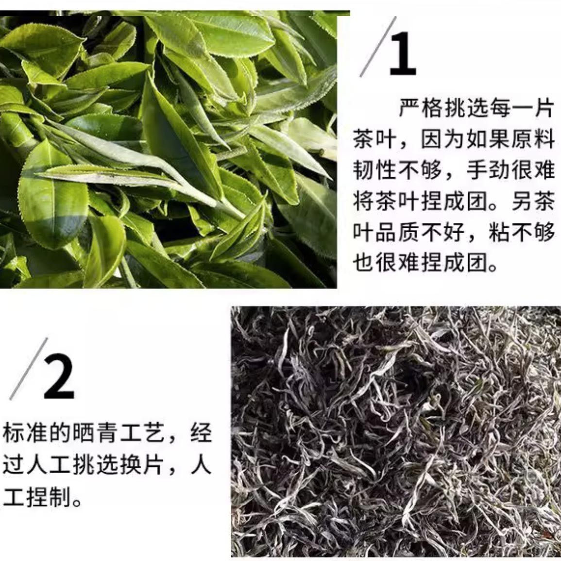 Raw Pu-erh Tea Dragon Ball, Bingdao Lao Zhai Ancient Tree Mini Tuocha, 500g