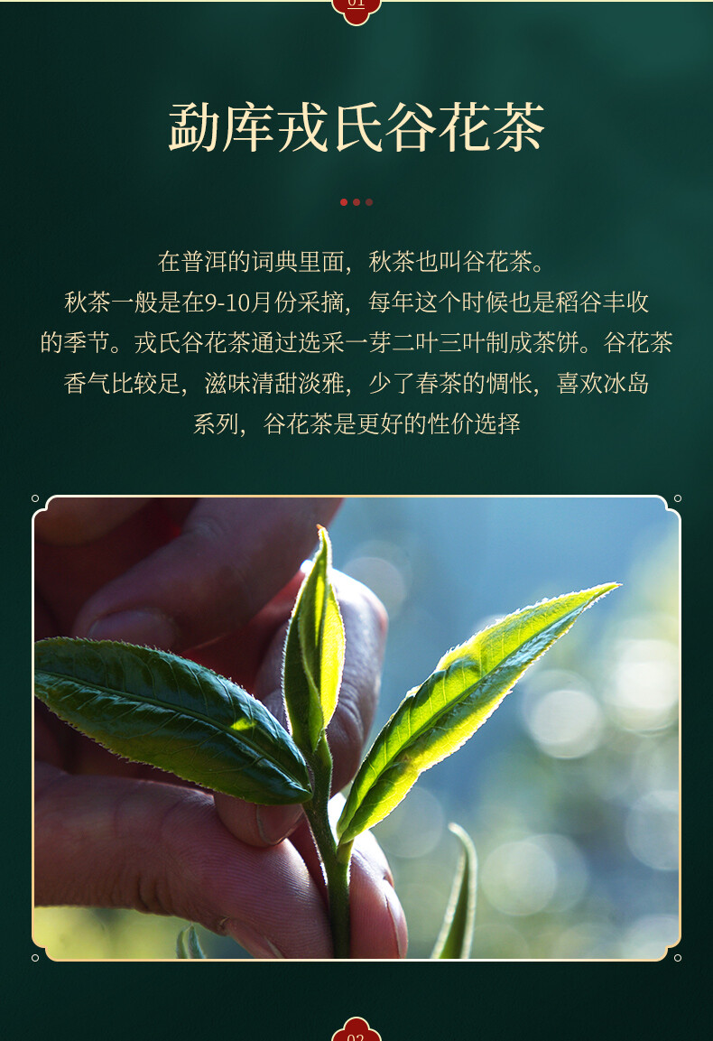 Valley Flowers * 2015 Mengku Rongshi Gu Hua Xiang Autumn Puer Pu’er Tea Raw 200g