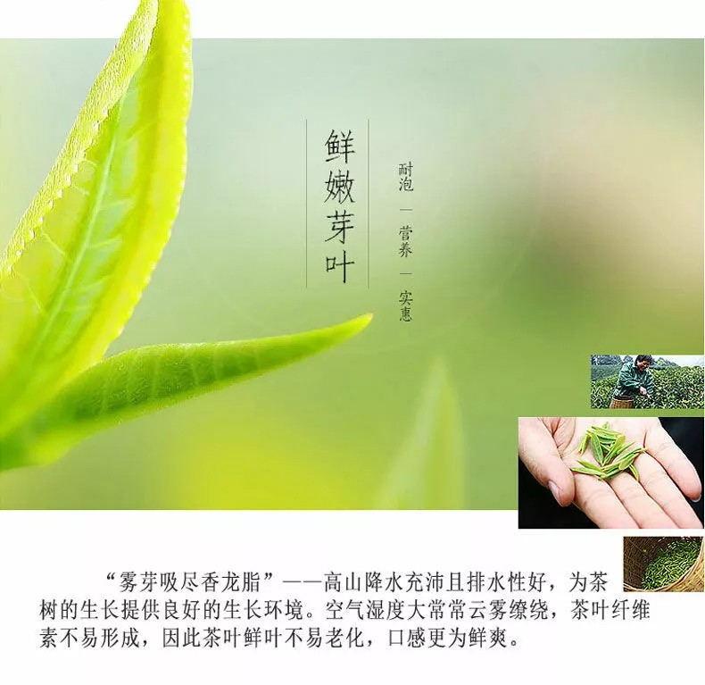 Premium Organic Bai Mu Dan White Peony White Tea Spring Tea Loose Leaf Tea