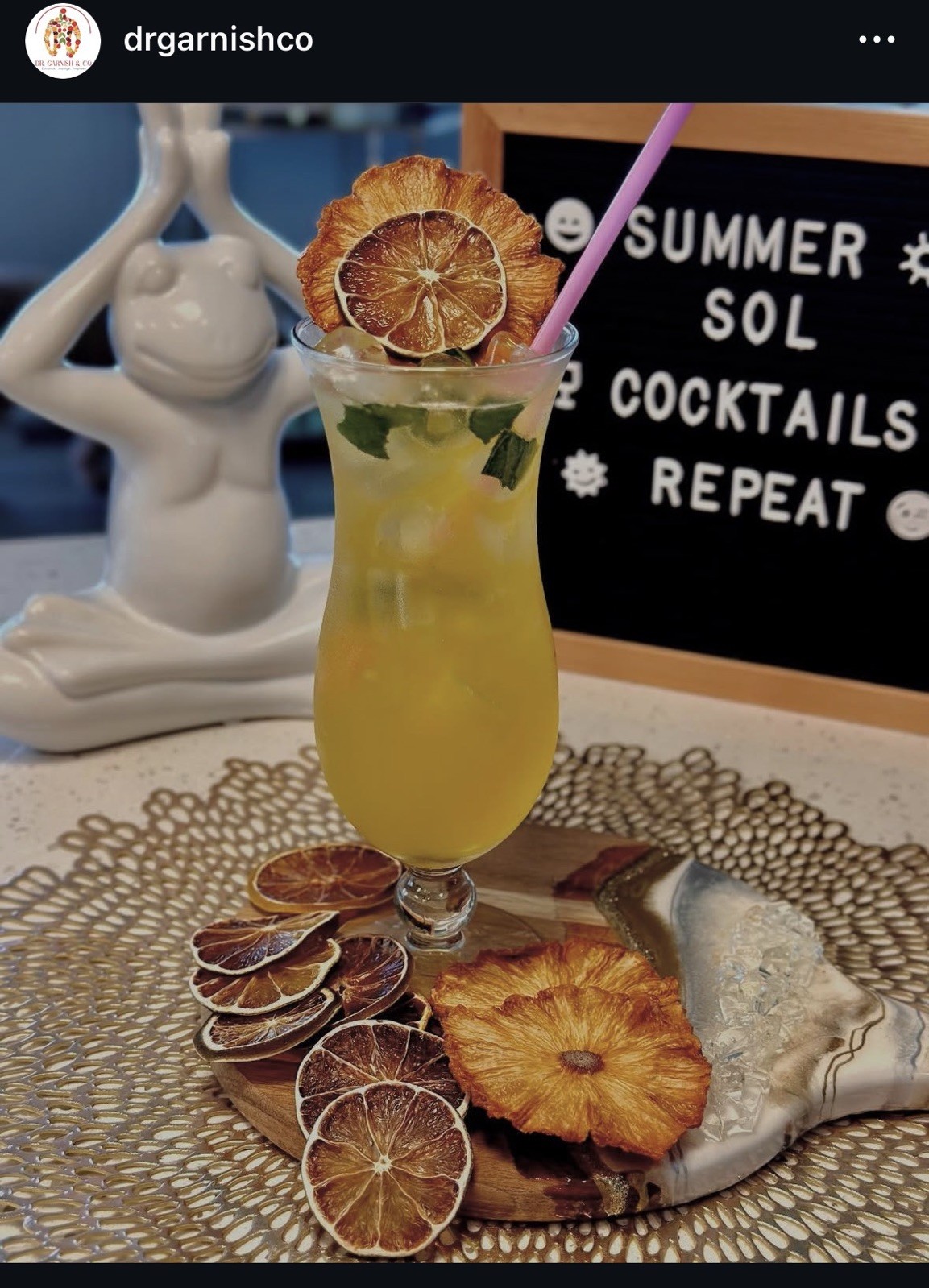 Premium Dehydrated Lemon Slices – USA Grown, Cocktails, Bar Cart, Bartending