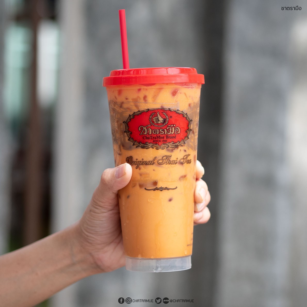 X1 Thai Tea ChaTraMue Number One Brand in Thailand of 400g (14 Oz)