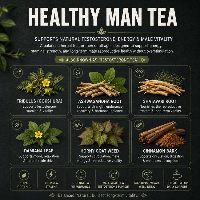 HEALTHY MAN TEA – SUPPORTS NATURAL TESTOSTERONE, ENERGY & MALE VITALITY #428