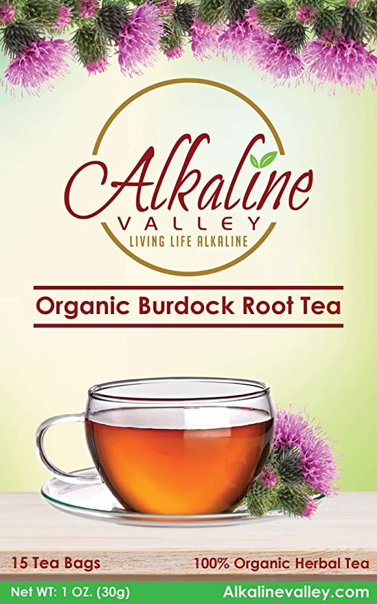 Burdock Root Tea Organic – 15 Unbleached/Chemical-Free Burdock Root Tea Bags