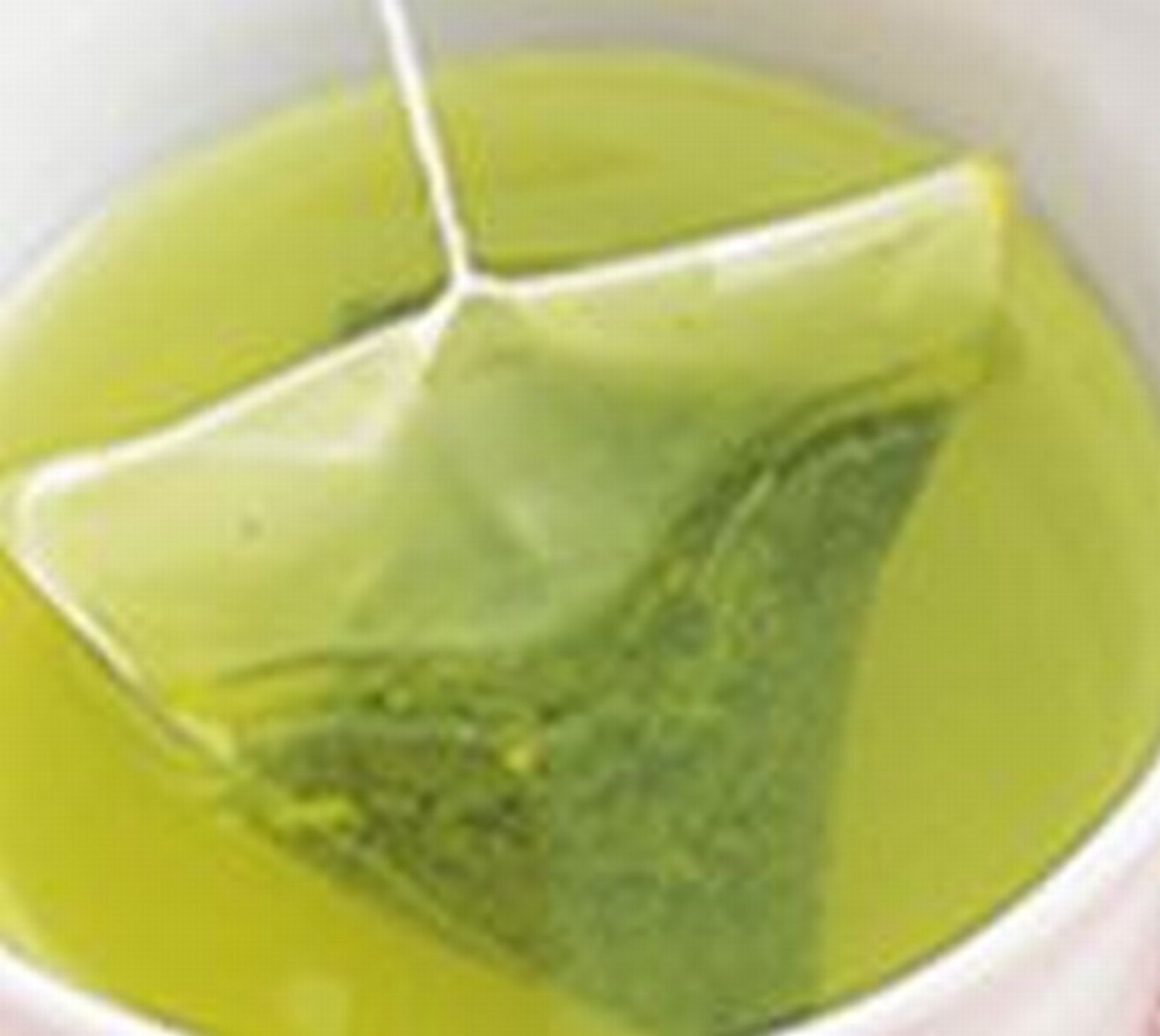 Japanese Green Tea NEW convenient Tea bag 5g x 15 bags