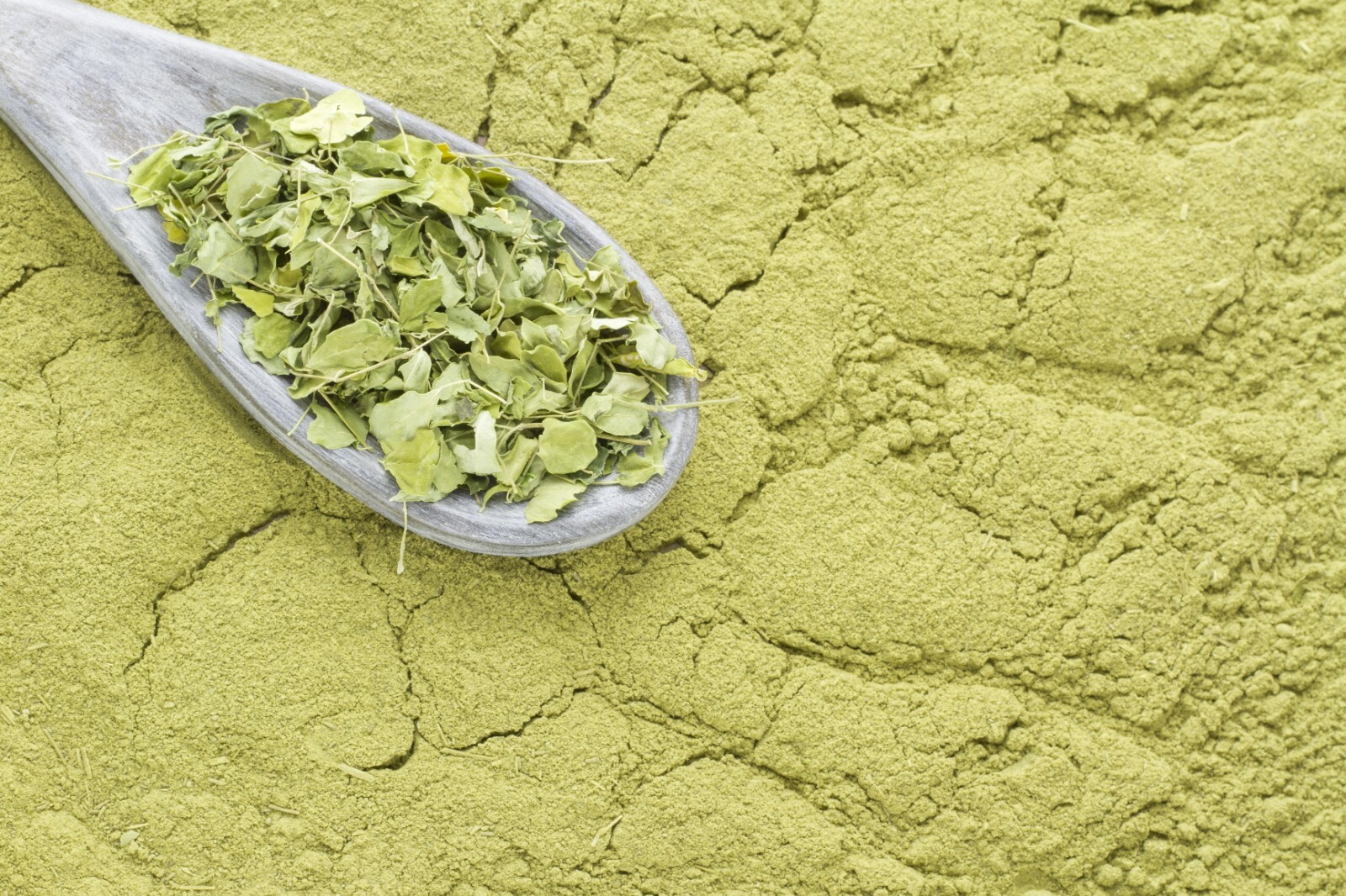 Moringa Powder 5 lbs. oleifera leaf 100% Pure Natural Superfood Gluten Free