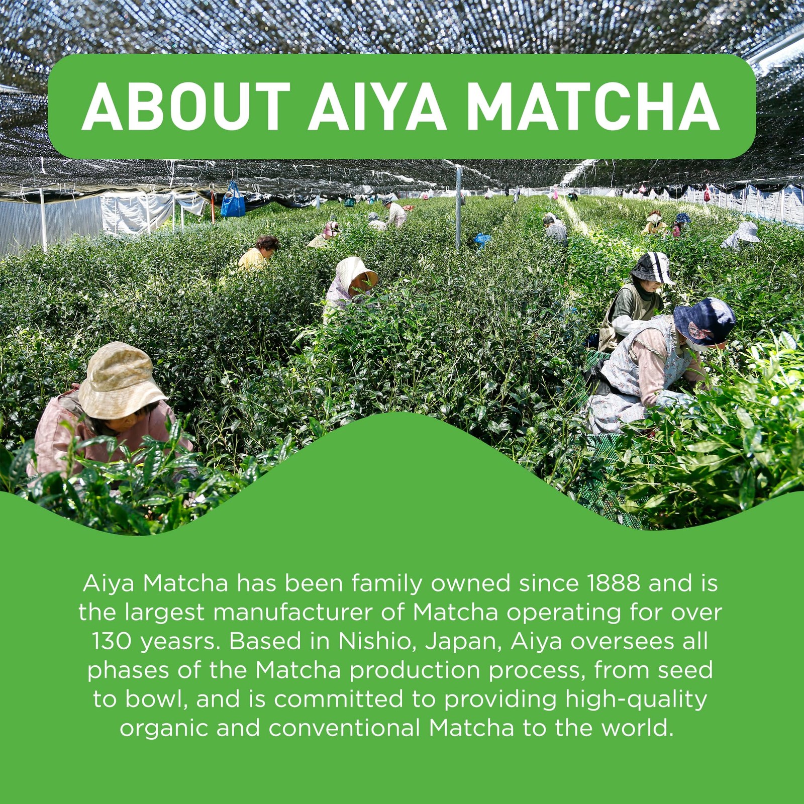 Aiya Matcha To Go Single Serve Packs – Ceremonial Grade Pure Matcha Green Tea…