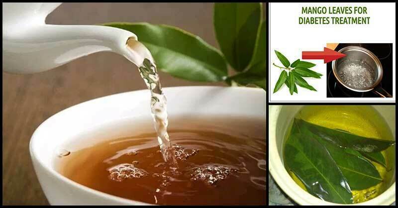 ORGANIC Dried Mango Leaves Ceylon 50 leaf For Tea Weight loss & Vitamin C, B, A