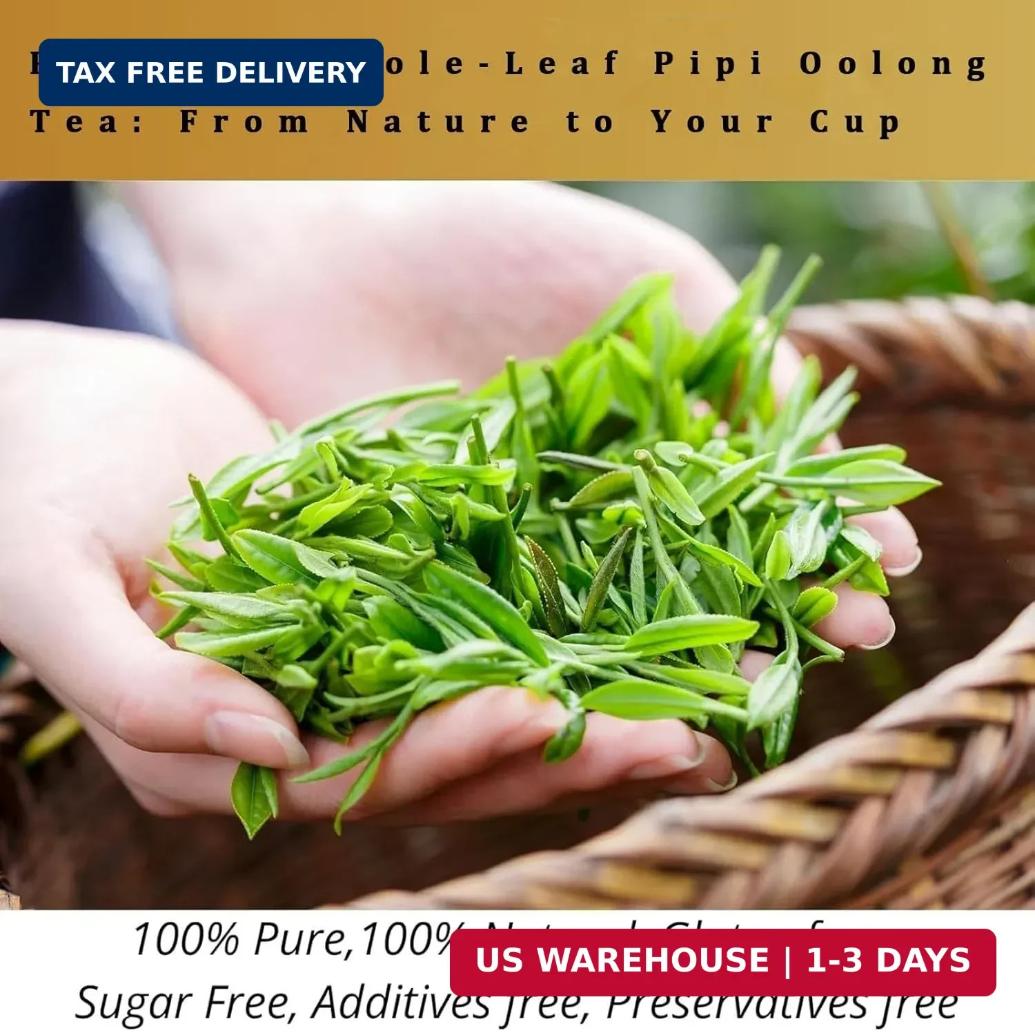Pipi Tea,Pipi Tea Oolong,Pipi Oolong Tea Organic Tea Bags – Premium Whole Leaf