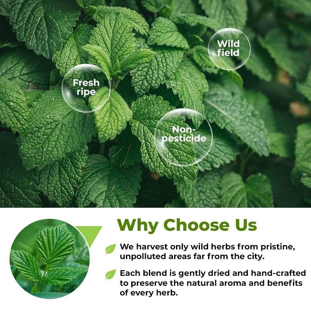 100 Bags Nettle Leaf Tea Ortiga Dried Nettle Herb Planta Bulk Urtica Dioica -…