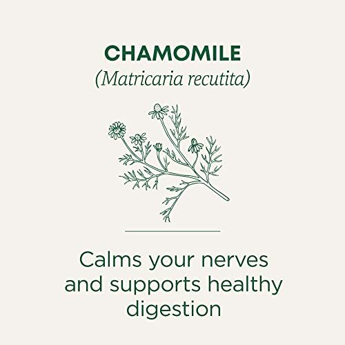 Organic Chamomile Tea Herbal Power Pack of 6 Caffeine Free Digestive Support