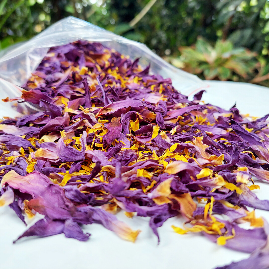 Blue Lotus Cut Flower Nymphaea Caerulea Organic Natural Herbal Tea From Ceylon
