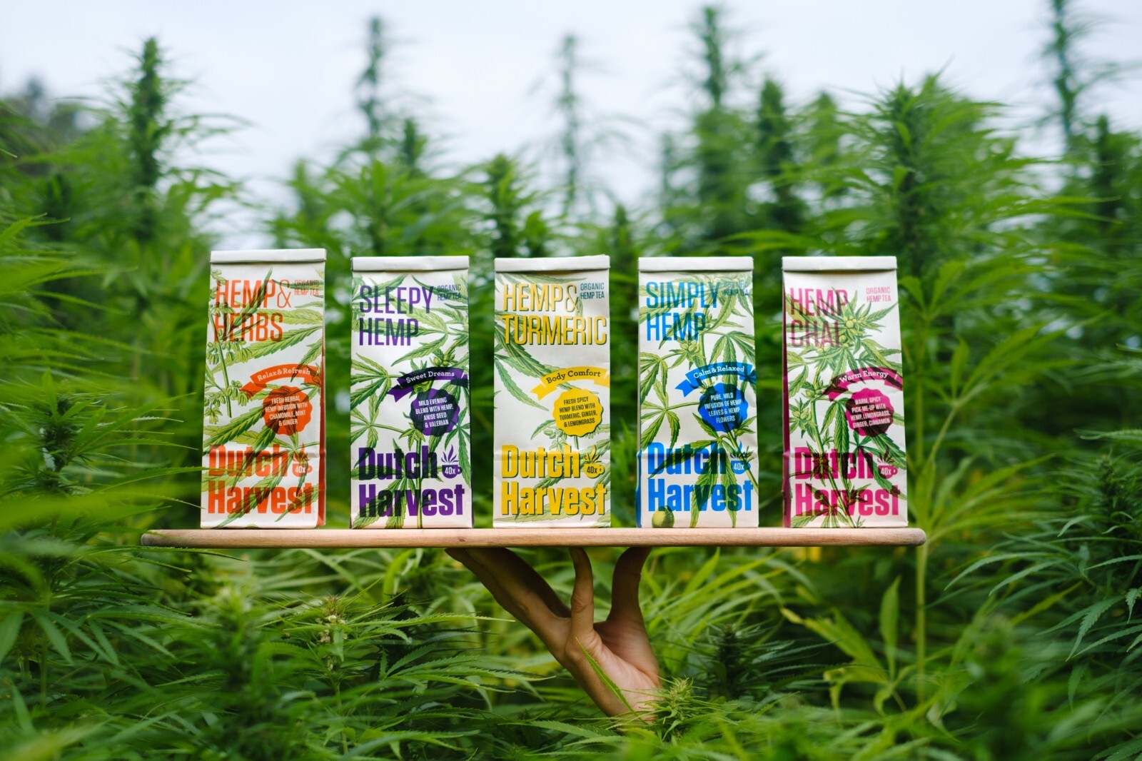 (5 pack bundle) Dutch Harvest – Hemp tea – Organic loose leaves (caffeine free)
